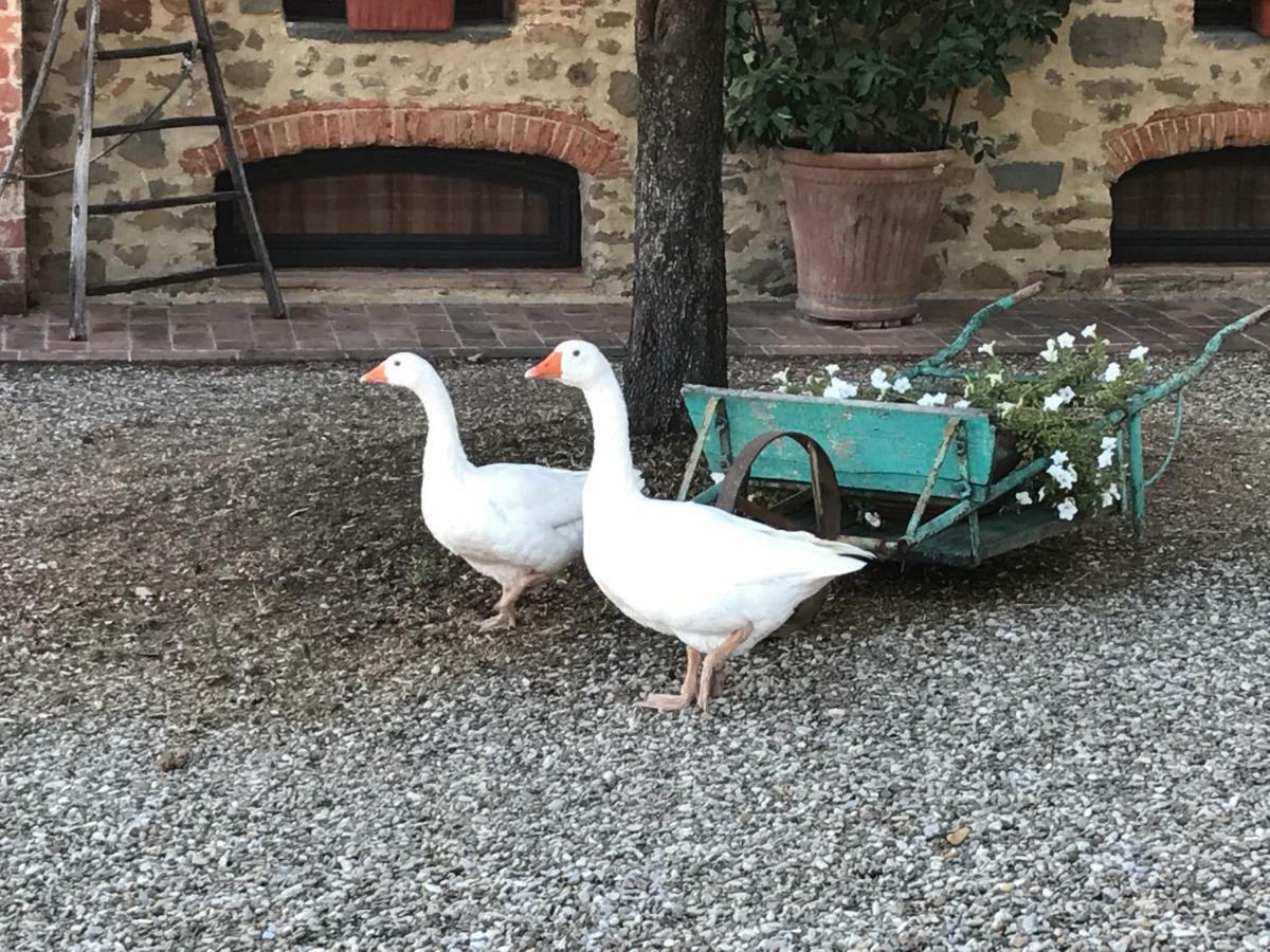 Podere La Fausta Serravalle Pistoiese Bagian luar foto